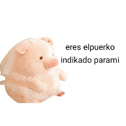 Perdonenmen a todos no acepto🐖 preview