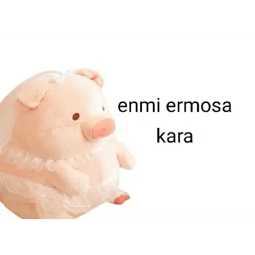 Perdonenmen a todos no acepto🐖