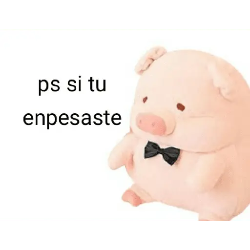 Perdonenmen a todos no acepto🐖