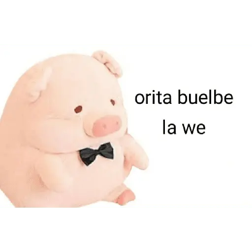 Perdonenmen a todos no acepto🐖