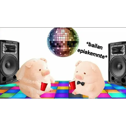 Perdonenmen a todos no acepto🐖