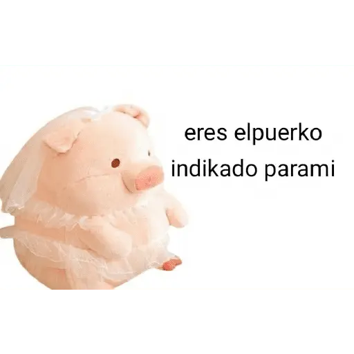 Perdonenmen a todos no acepto🐖
