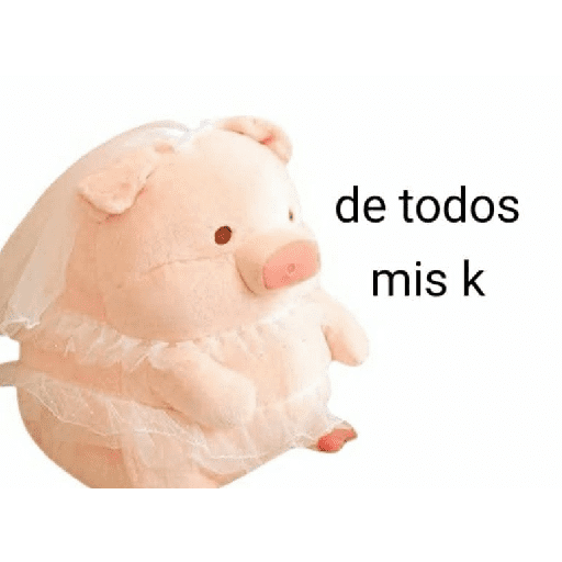 Perdonenmen a todos no acepto🐖 preview