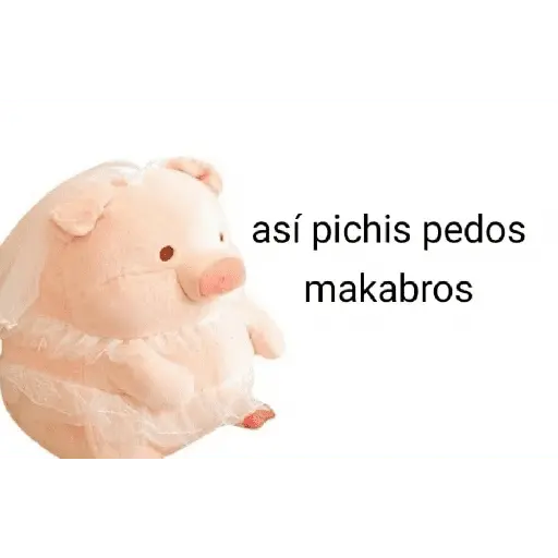 Perdonenmen a todos no acepto🐖