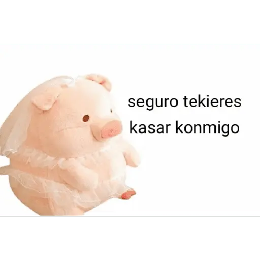 Perdonenmen a todos no acepto🐖