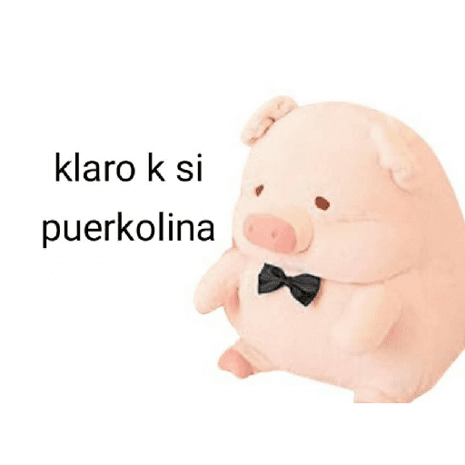 Perdonenmen a todos no acepto🐖 preview