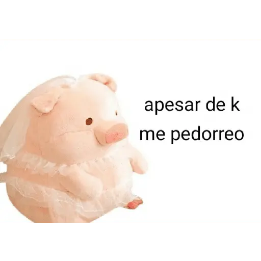 Perdonenmen a todos no acepto🐖