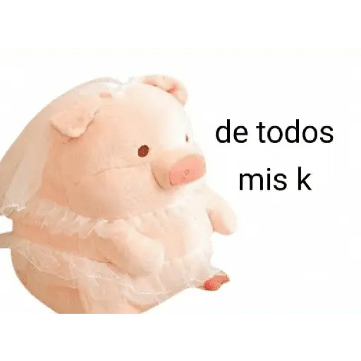 Perdonenmen a todos no acepto🐖