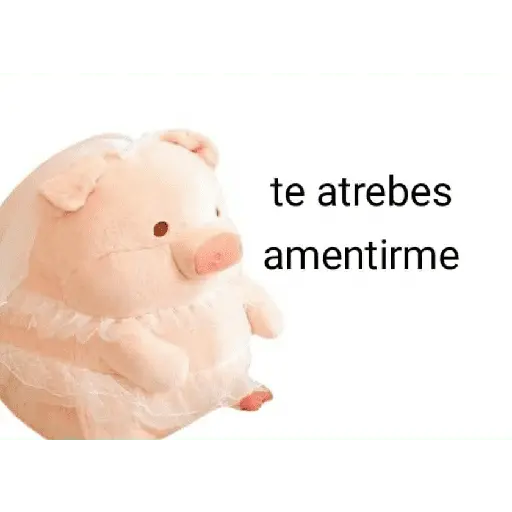 Perdonenmen a todos no acepto🐖
