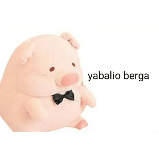Perdonenmen a todos no acepto🐖