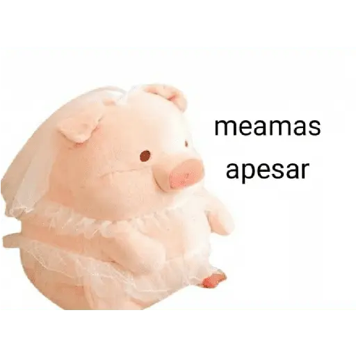 Perdonenmen a todos no acepto🐖
