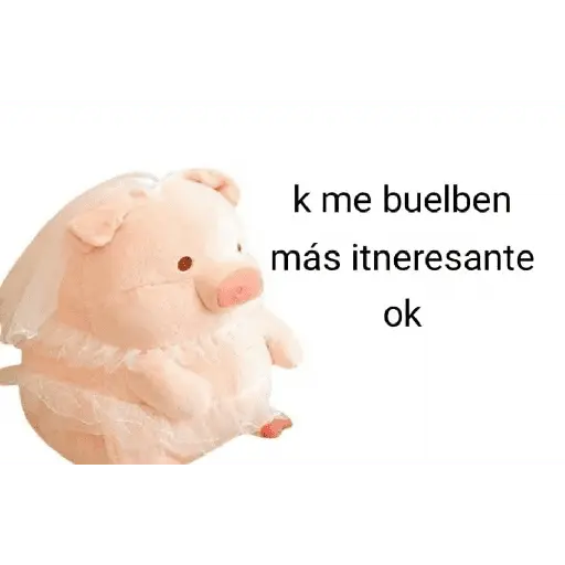 Perdonenmen a todos no acepto🐖