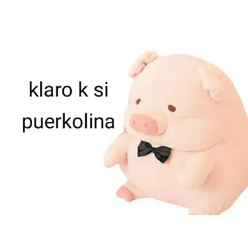 Perdonenmen a todos no acepto🐖