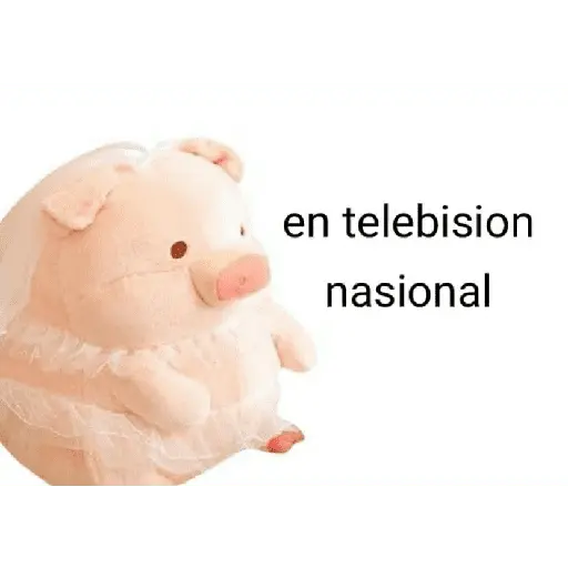 Perdonenmen a todos no acepto🐖