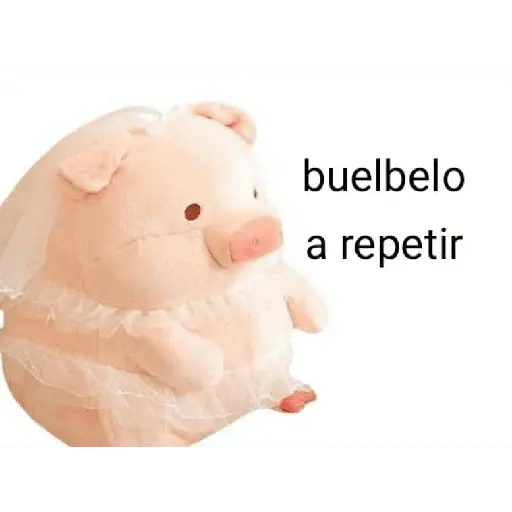 Perdonenmen a todos no acepto🐖