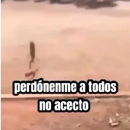 perdónenme no acepto 😎
