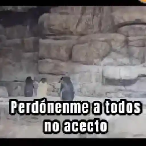 perdónenme no acepto 😎