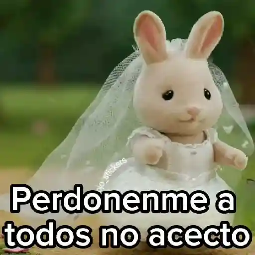 ❌Perdonenme no acepto👰