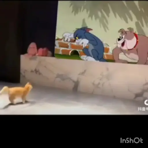 TikTok Queando Ahora 😱
