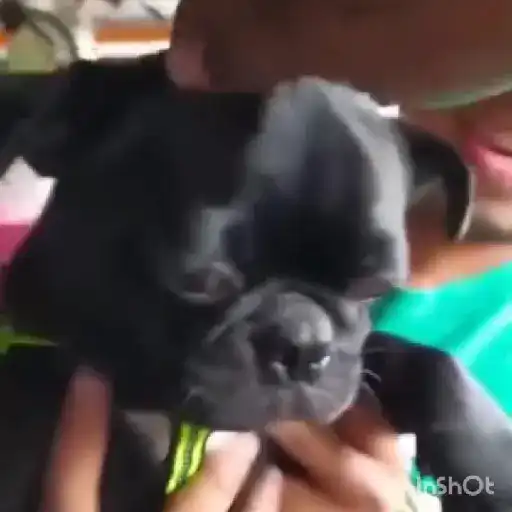 TikTok Queando Ahora 😱
