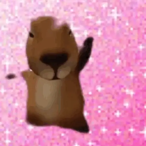 🪩 Bailes de TikTok 🙊