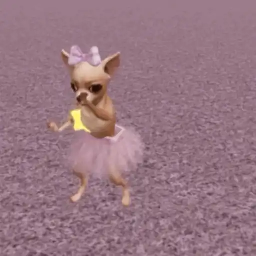 🪩 Bailes de TikTok 🙊
