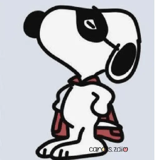🦴 Snoopy y sus amigos 🏠❤️