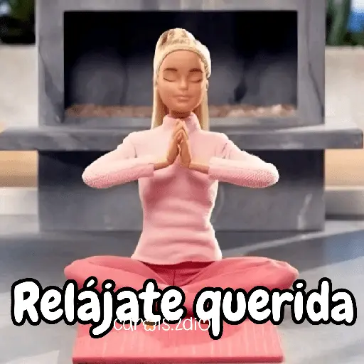 Barbie para contestar 👗🎀💅