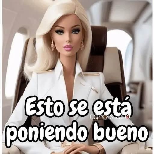 Barbie para contestar 👗🎀💅