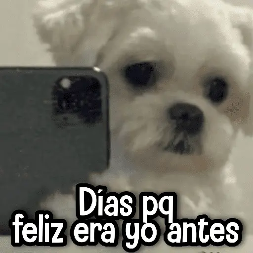 Mix Que te Falta #➋ 😌