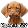 Stickers a Full #②⑥ 🤩