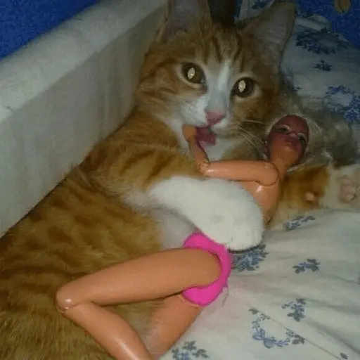 😼 Animalitos MOOD 🐶