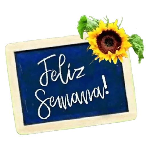 Lunes/inicio de semana🗓️²