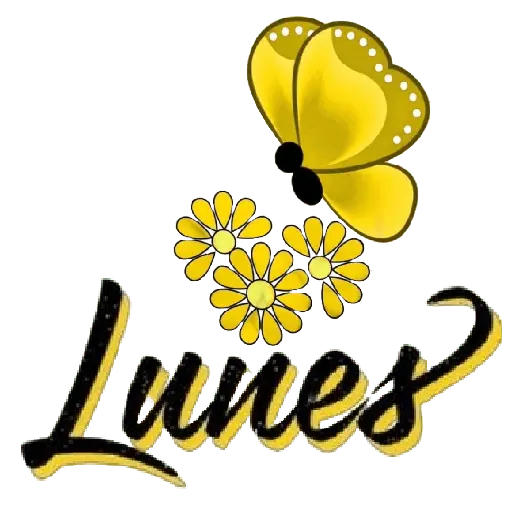 Lunes/inicio de semana🗓️²