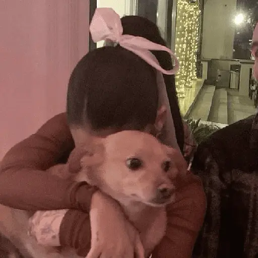 Ariana Grande Latin News