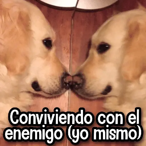 MIX que te Falta #➌ ❤️‍🩹