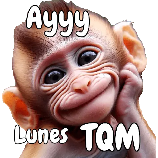 🙉🙊Lunes con Monos🙈🐵