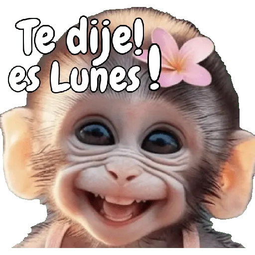 🙉🙊Lunes con Monos🙈🐵