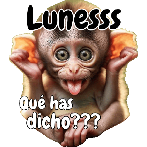 🙉🙊Lunes con Monos🙈🐵 preview