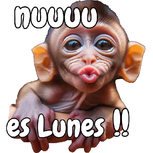 🙉🙊Lunes con Monos🙈🐵