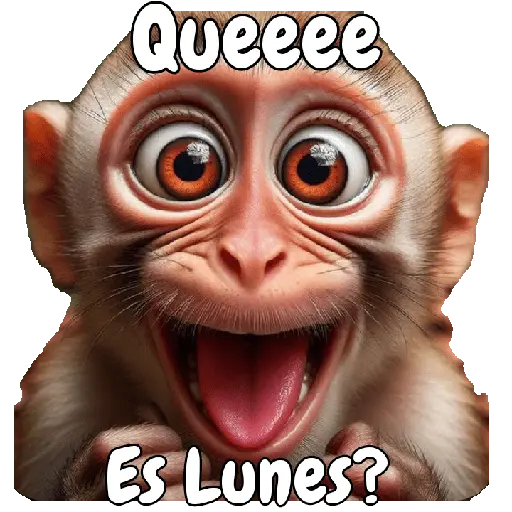 🙉🙊Lunes con Monos🙈🐵