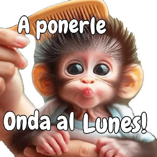 🙉🙊Lunes con Monos🙈🐵
