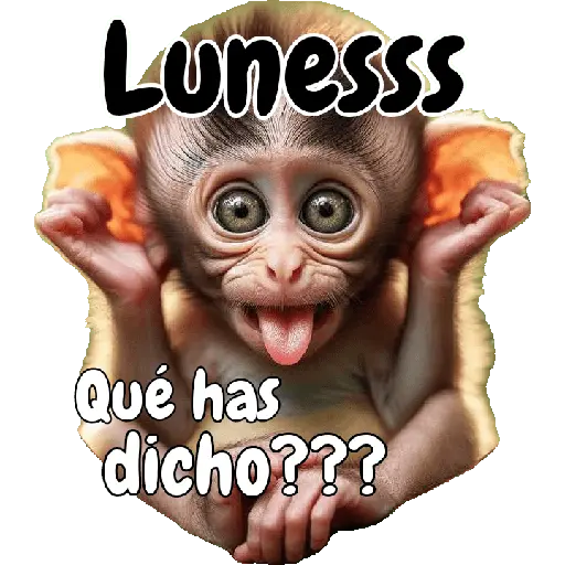 🙉🙊Lunes con Monos🙈🐵