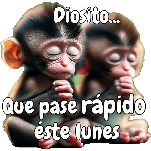 🙉🙊Lunes con Monos🙈🐵