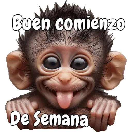 🙉🙊Lunes con Monos🙈🐵