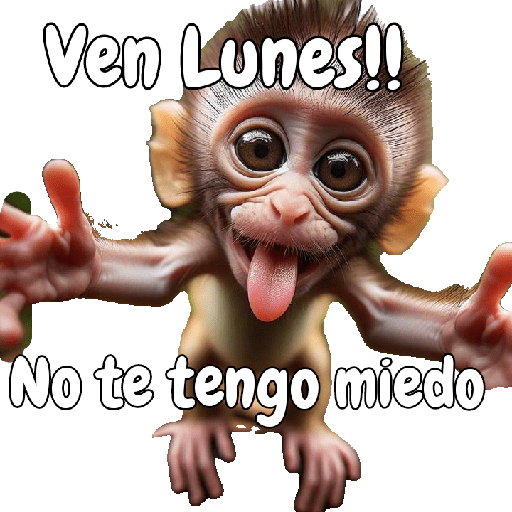 🙉🙊Lunes con Monos🙈🐵 preview