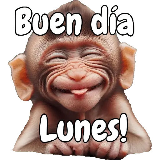 🙉🙊Lunes con Monos🙈🐵