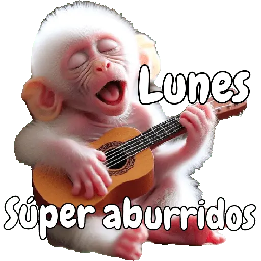 🙉🙊Lunes con Monos🙈🐵