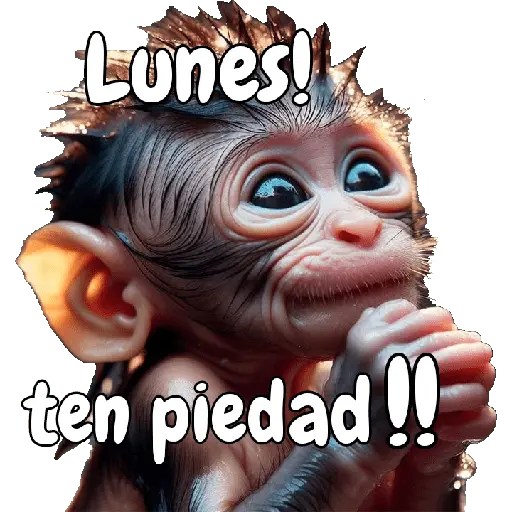 🙉🙊Lunes con Monos🙈🐵