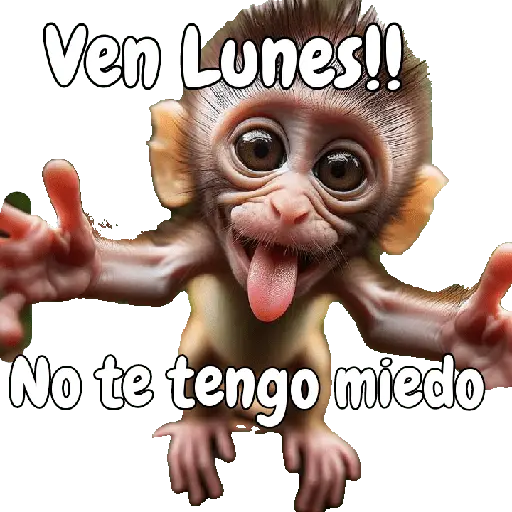 🙉🙊Lunes con Monos🙈🐵